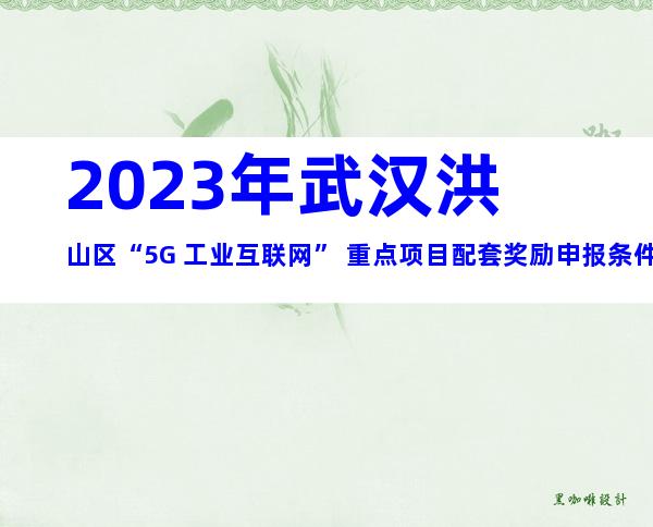 2023年武汉洪山区“5G+工业互联网” 重点项目配套奖励申报条件、材料、程序及时间